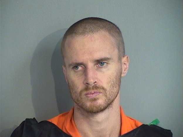 Booking photo - ADAM HARE - Osceola, Florida