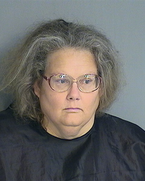 Booking photo - AMANDA RYAN - Osceola, Florida