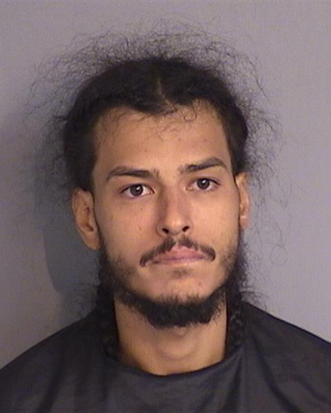 Booking photo - DANDRES ROLON - Osceola, Florida