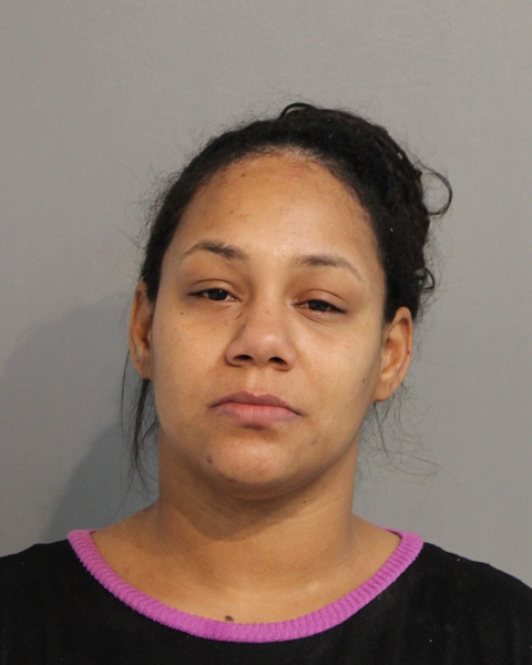 Booking photo - YILDA ALTAGRACIA MENDOZA-DERODRIGUEZ - Osceola, Florida