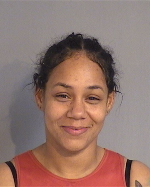Booking photo - YILDA MENDOZA-DERODRIGUEZ - Osceola, Florida