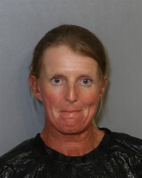 Booking photo - SARAH JANE CHADEESINGH - Osceola, Florida