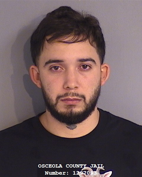 Booking photo of ANFONY VILLALBA-MEDINA
