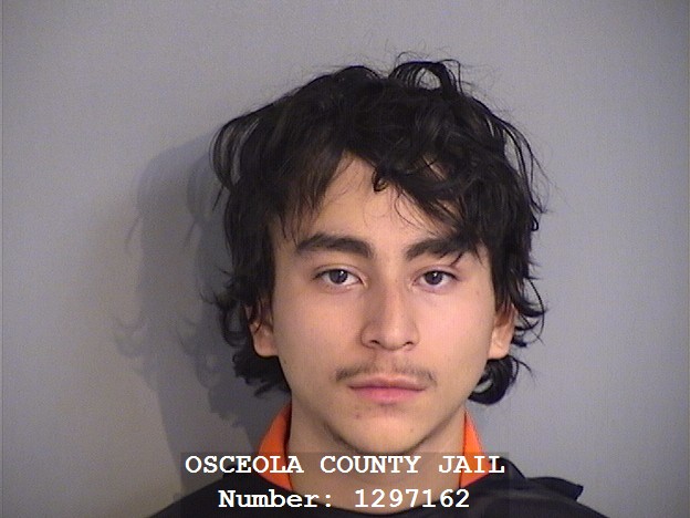 Booking photo - NICOLAS TOBON - Osceola, Florida