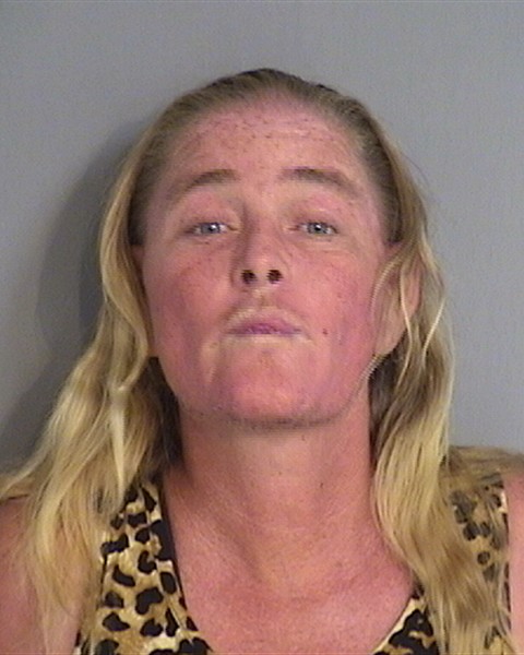 Booking photo - BILLIE JOE LOTT - Osceola, Florida