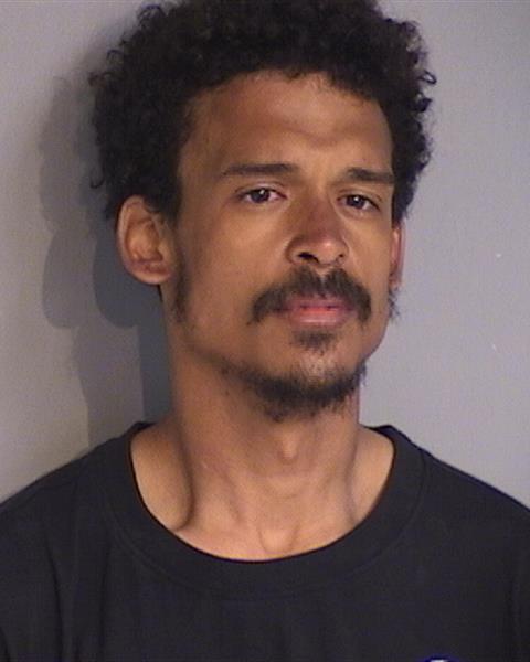 Booking photo - PHILYS O RODRIGUEZ - Osceola, Florida