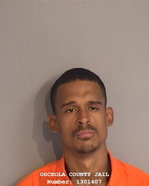 Booking photo - PHILYS RODRIGUEZ - Osceola, Florida