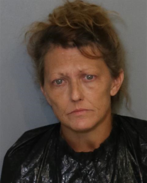 Booking photo - TRINA SHIRLENE COATE-ADAMS - Osceola, Florida