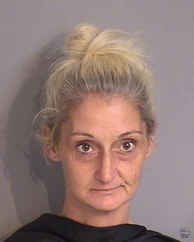 Booking photo - TINA KAY BOWMAN - Osceola, Florida
