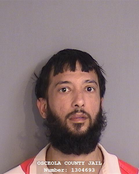 Booking photo - MICHAEL STEVEN JOHN - Osceola, Florida