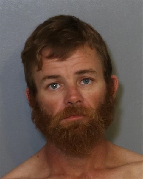 Booking photo - ROBERT MARK MAYO - Osceola, Florida