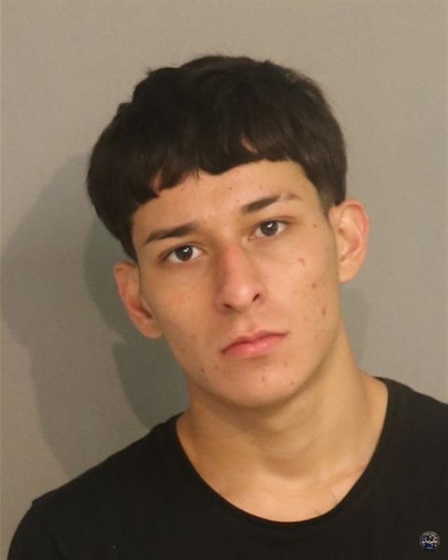 Booking photo - IVAN MAURICIO ROA - Osceola, Florida