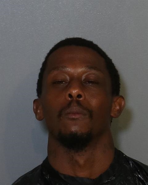 Booking photo - CHARMANE JERROME SNEAD - Osceola, Florida