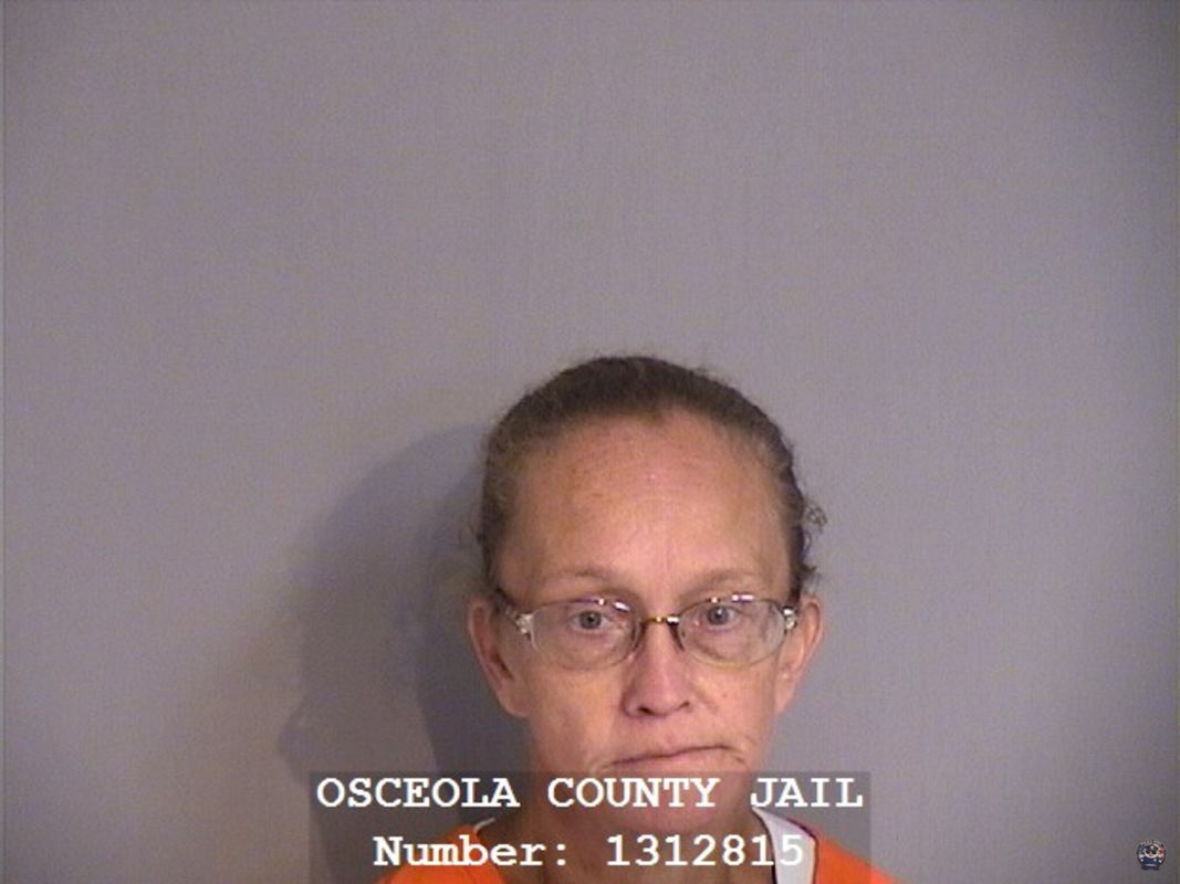 Booking photo - TRACY LYNN BAILEY - Osceola, Florida