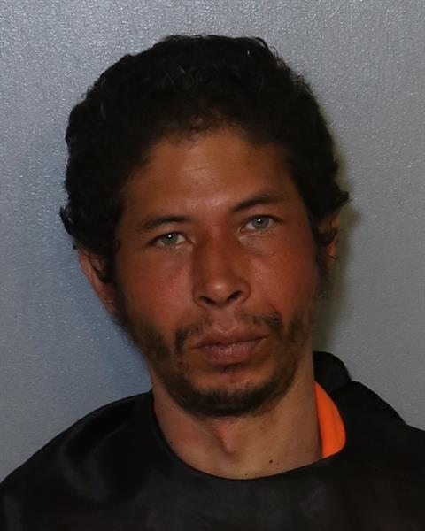 Booking photo - NEIL WAGNER ARCE - Osceola, Florida
