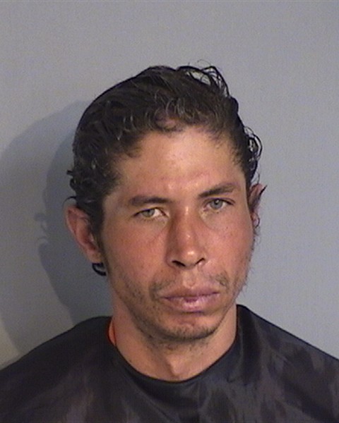 Booking photo - NEIL ARCE - Osceola, Florida