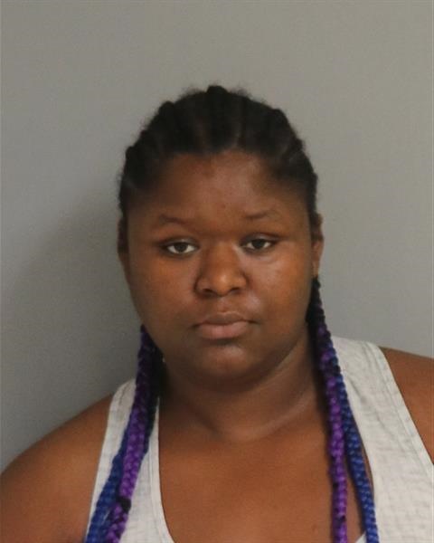 Booking photo - BIANCA BLAISE - Osceola, Florida