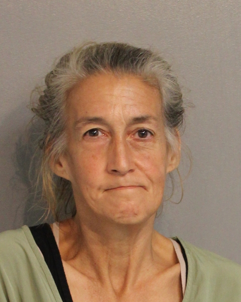 Booking photo of LISA KANE