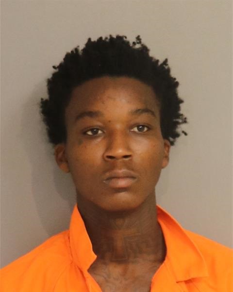 Booking photo - AMARI LAJUAN MITCHELL - Osceola, Florida