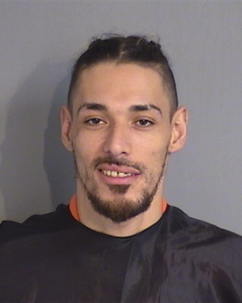Booking photo - REGGIE SANTONI - Osceola, Florida