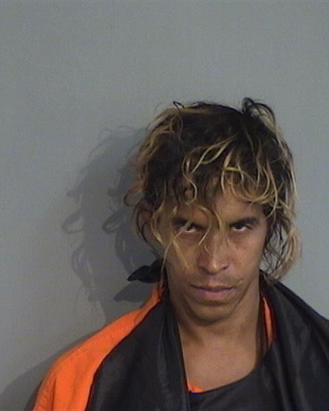 Booking photo - GIOVANNY ALBERTO BOSCH-OJEDA - Osceola, Florida