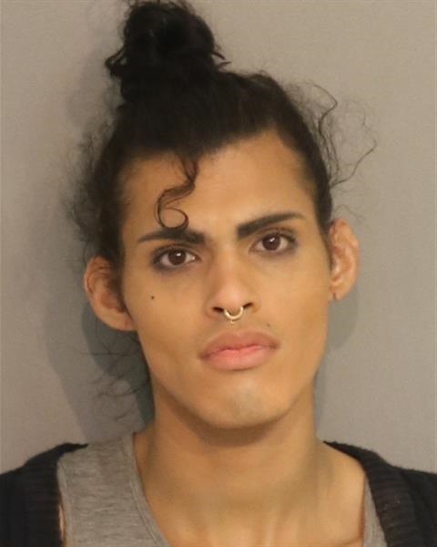 Booking photo - GABRIEL LUIS RUIZ - Osceola, Florida