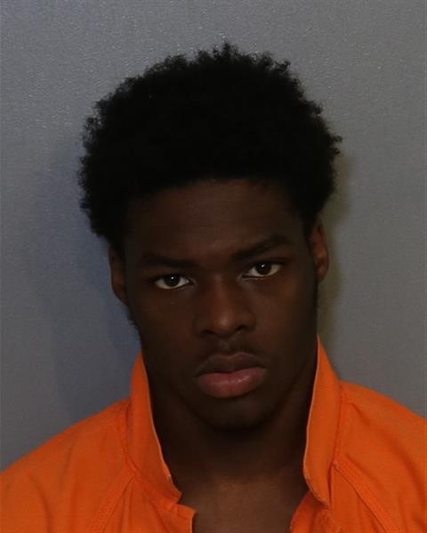 Booking photo - NAPOLEON LOUVERTURE - Osceola, Florida