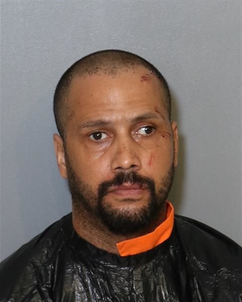 Booking photo - ORLANDO IRIZARRY - Osceola, Florida