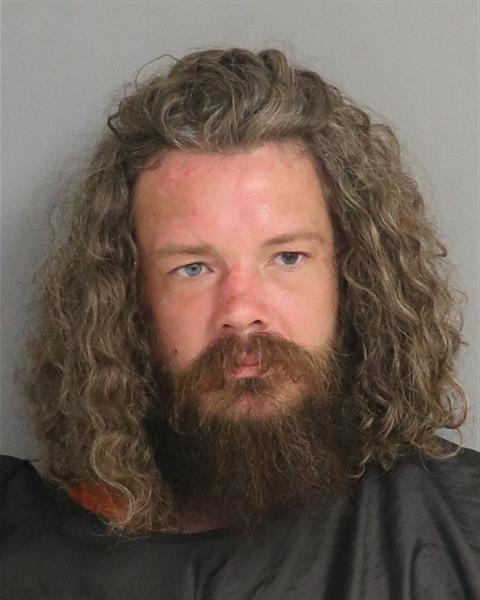 Booking photo - NICHOLAS ALLEN ONEAL - Osceola, Florida