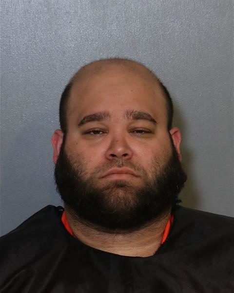 Booking photo - GABRIEL ALEJANDRO SANCHEZ-VILLANUEVA - Osceola, Florida