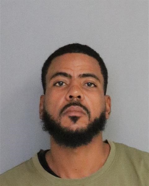 Booking photo - STEFAN JULIUS BROWN - Osceola, Florida