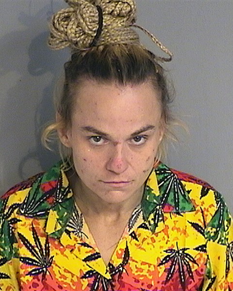 Booking photo - SAMANTHA JOHNSTON - Osceola, Florida