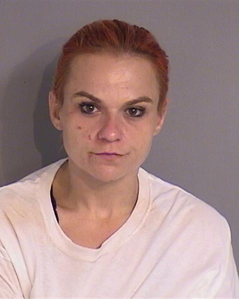 Booking photo - SAMANTHA MARIE JOHNSTON - Osceola, Florida