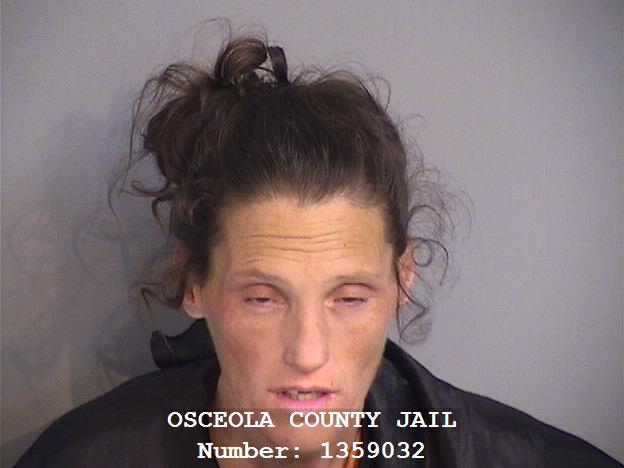 Booking photo - JESSICA NICHOLE JOHNSON - Osceola, Florida