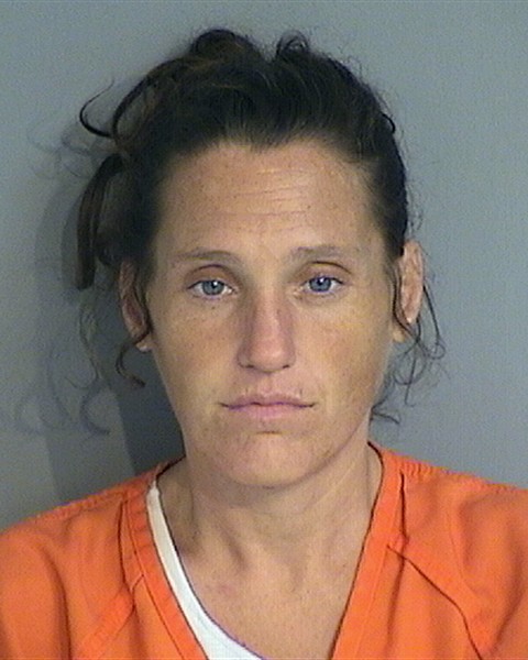 Booking photo - JESSICA JOHNSON - Osceola, Florida