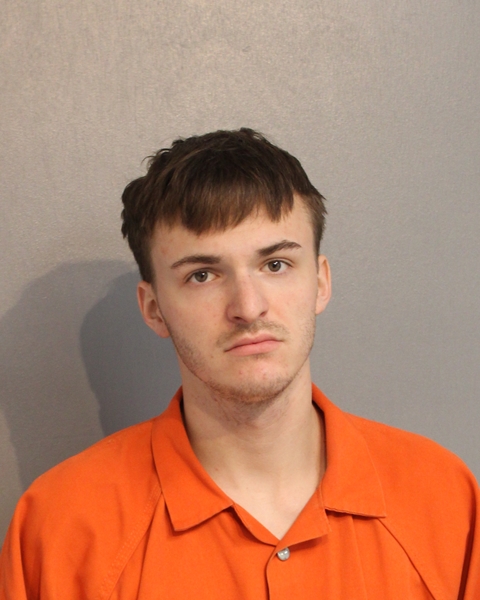 Booking photo of JESSE LARSEN