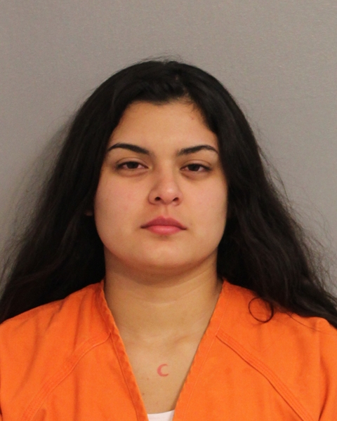 Booking photo - DIANA PONCE - Osceola, Florida