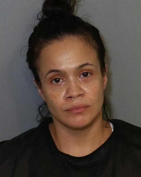 Booking photo - ELISA GARCIA - Osceola, Florida