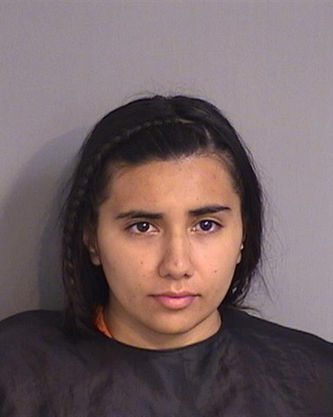 Booking photo - KELLY JOHANA REYES-SUAREZ - Osceola, Florida