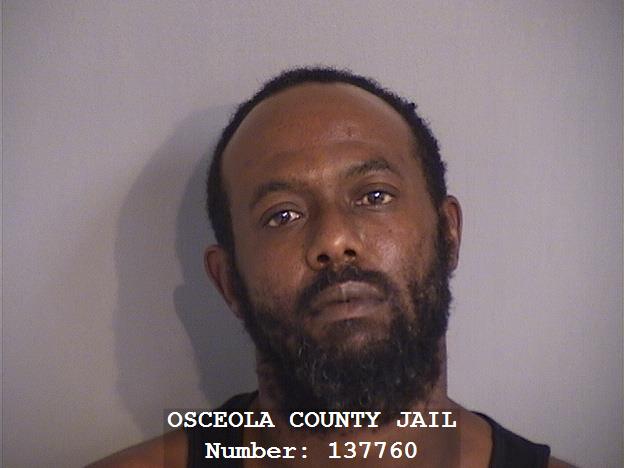 Booking photo - CLEOTHA JOHNSON - Osceola, Florida