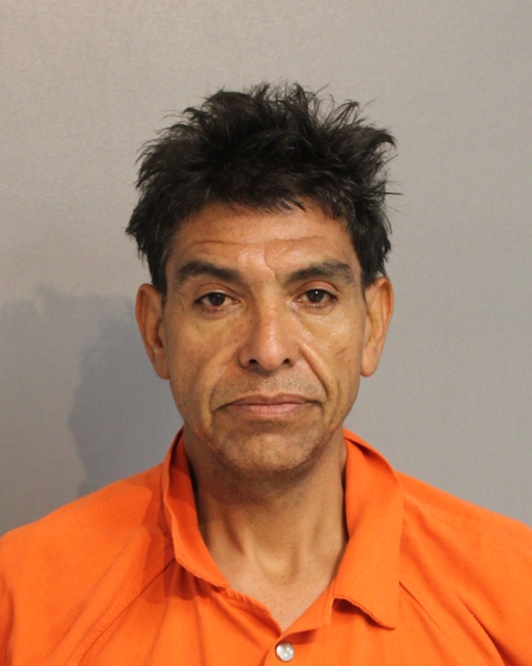 Booking photo - CARLOS SALAS-VILLA - Osceola, Florida