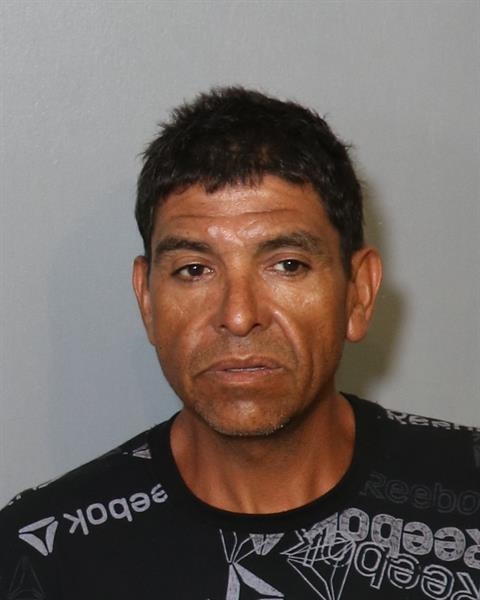 Booking photo - CARLOS RODOLPHO SALAS-VILLA - Osceola, Florida