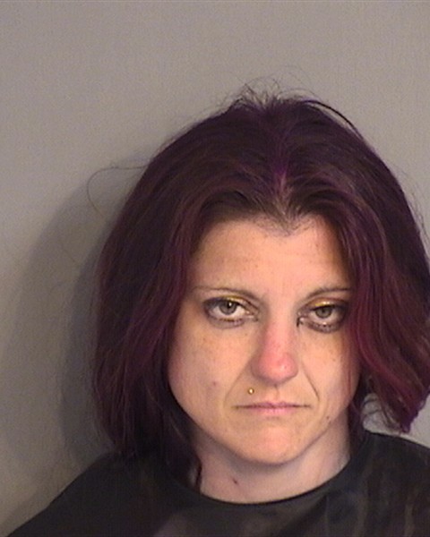 Booking photo of LAURA ANN ALVARENGA