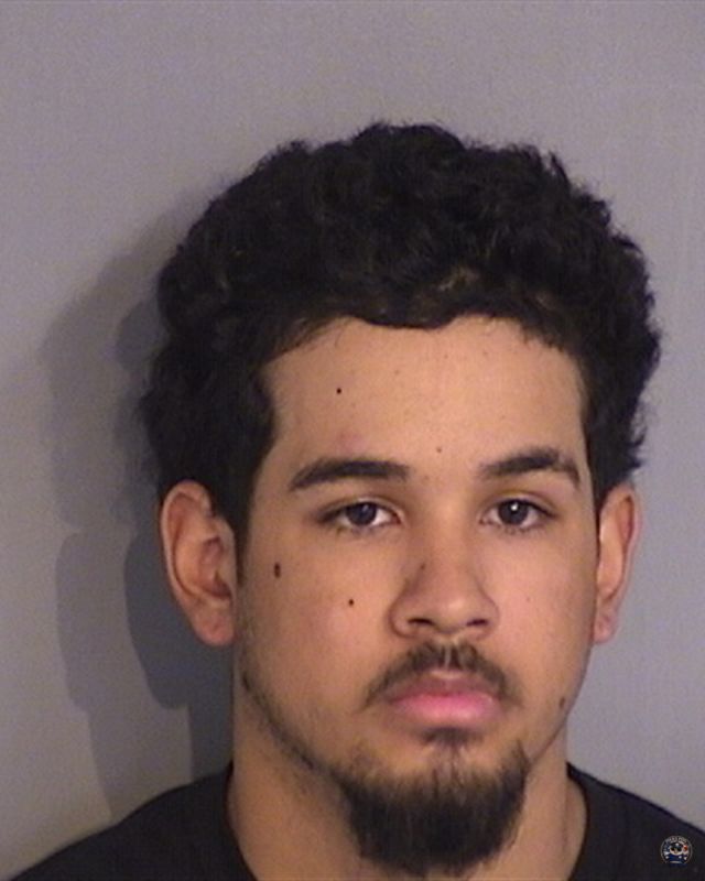 Booking photo of DAMIEN BARRENECHEA-PADIN