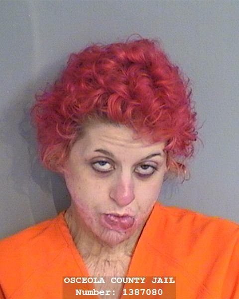 Booking photo - JACQUELINE CREAMER - Osceola, Florida