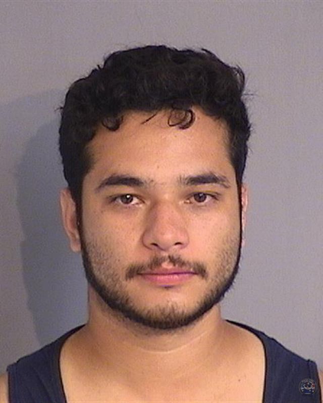 Booking photo of LUIS ERNESTO RAMOS-DIAZ