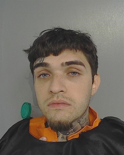 Booking photo - MIGUEL ANGEL VEGA - Osceola, Florida