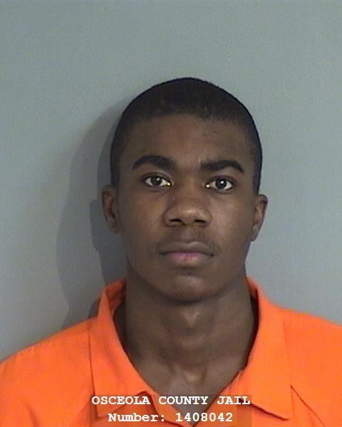 Booking photo - JIMMY CARTER LAMAR - Osceola, Florida