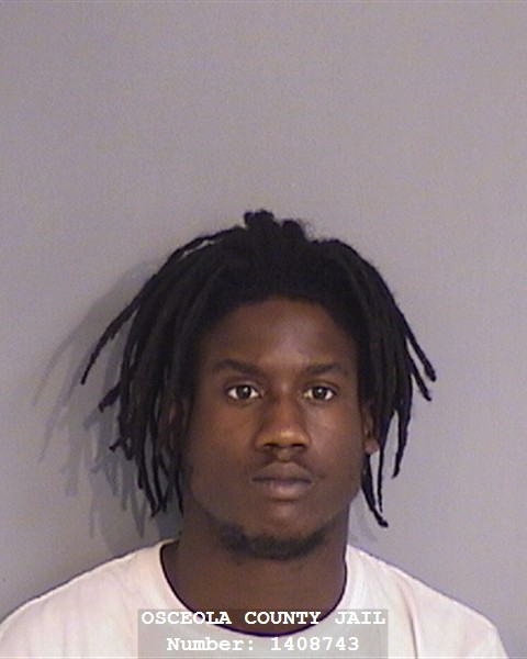 Booking photo - LYON DAVIS - Osceola, Florida