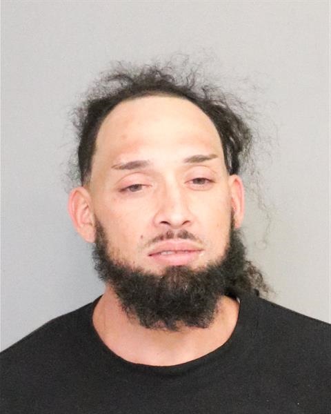 Booking photo - IVAN JOSE CALZADA - Osceola, Florida